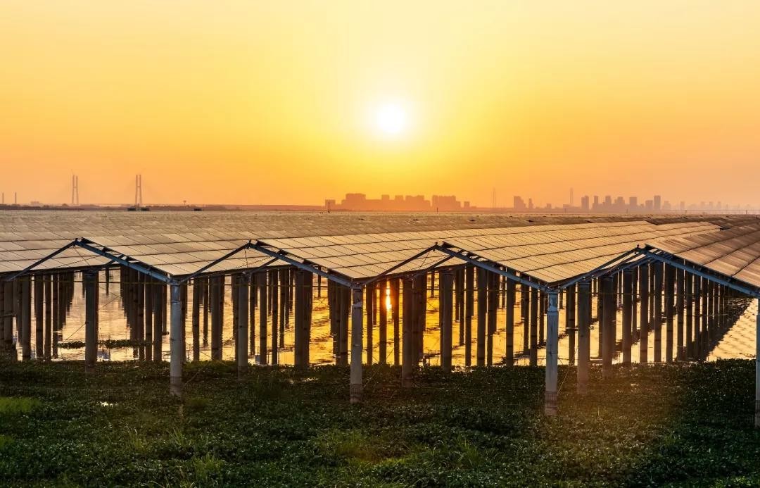 Beyond Success - www@ Achieved a Preferred Scale of 1120 MW in Jiangxi